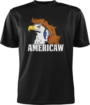 Americaw