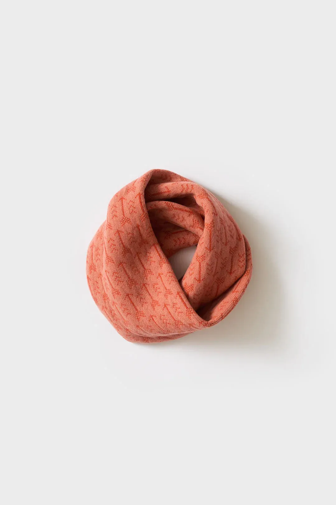 Arrow Circle Scarf - Rosehip & Rust