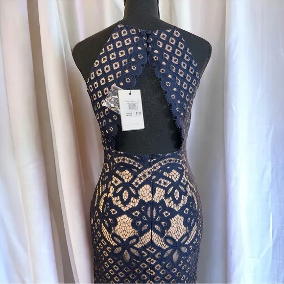 Bardót Mila French Blue Lace Sheath Dress Open Back Button Neck Size 4 NWT
