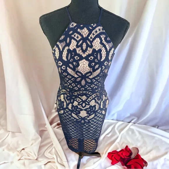 Bardót Mila French Blue Lace Sheath Dress Open Back Button Neck Size 4 NWT