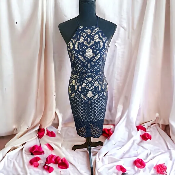 Bardót Mila French Blue Lace Sheath Dress Open Back Button Neck Size 4 NWT