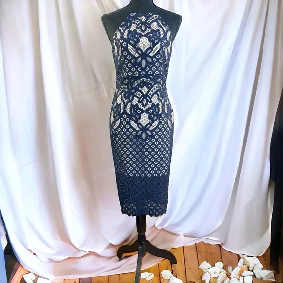Bardót Mila French Blue Lace Sheath Dress Open Back Button Neck Size 4 NWT
