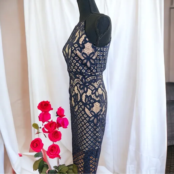 Bardót Mila French Blue Lace Sheath Dress Open Back Button Neck Size 4 NWT