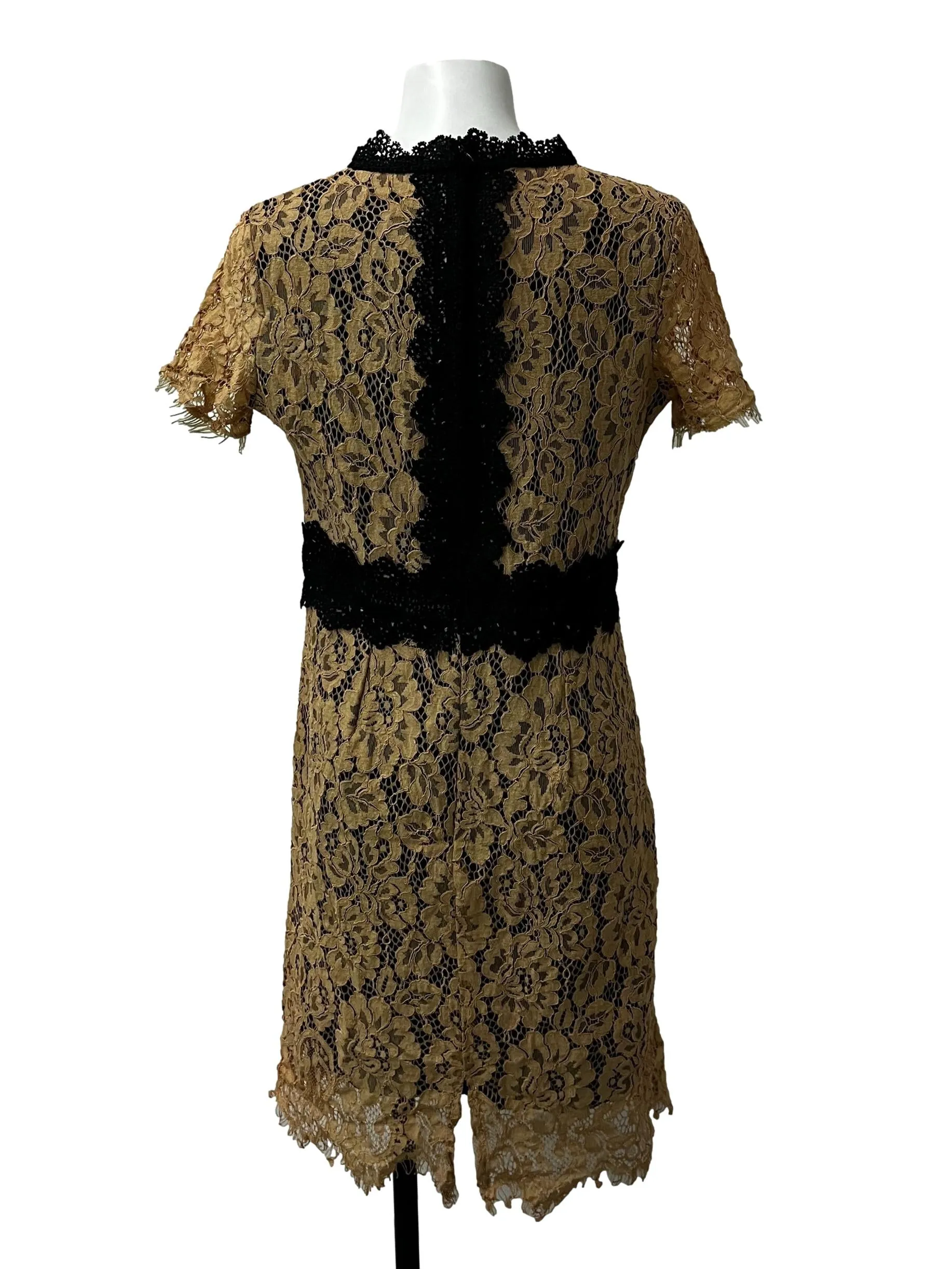 Beige Lace Sheath Dress