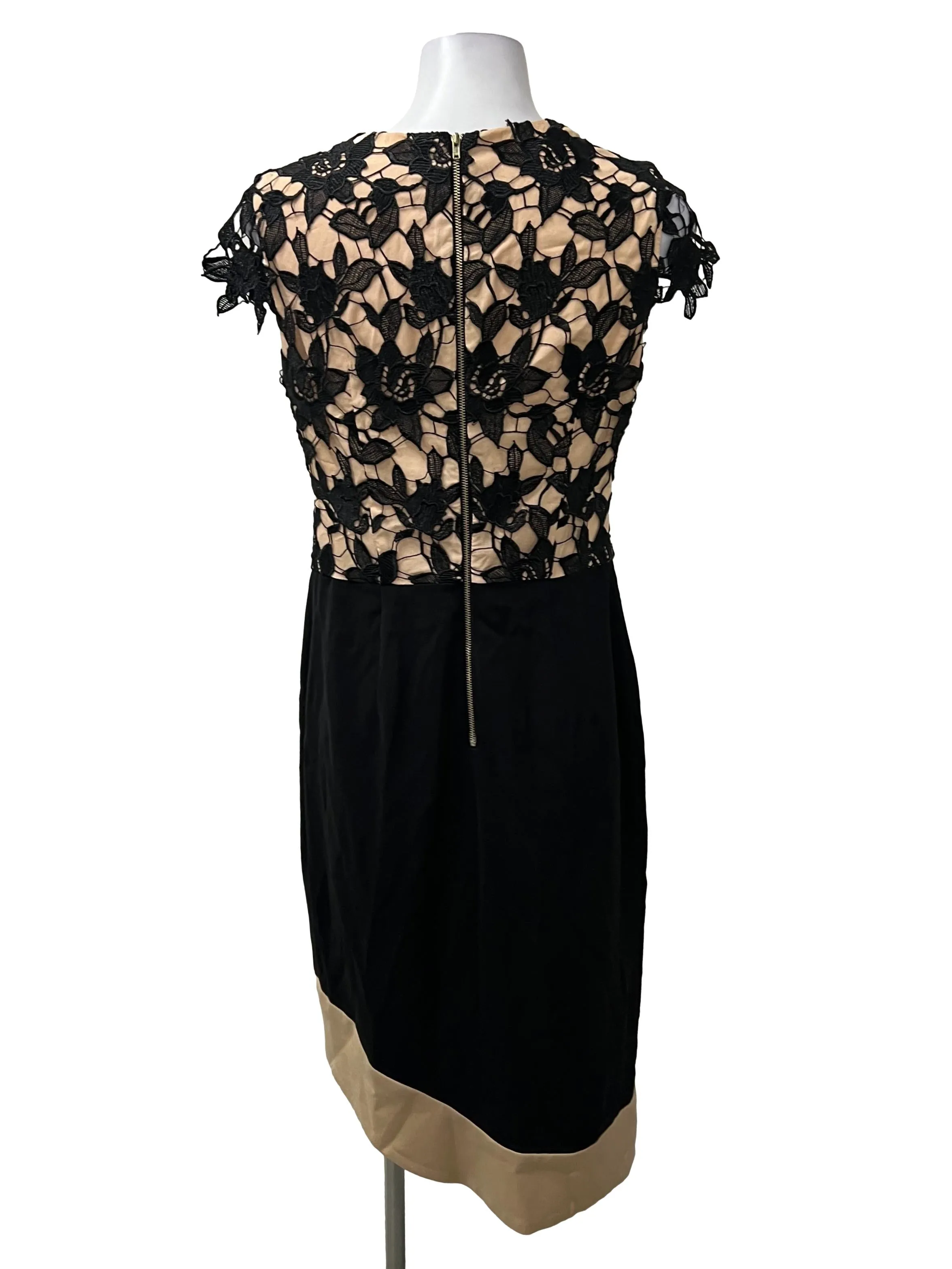 Black Nude Lace Sheath Dress