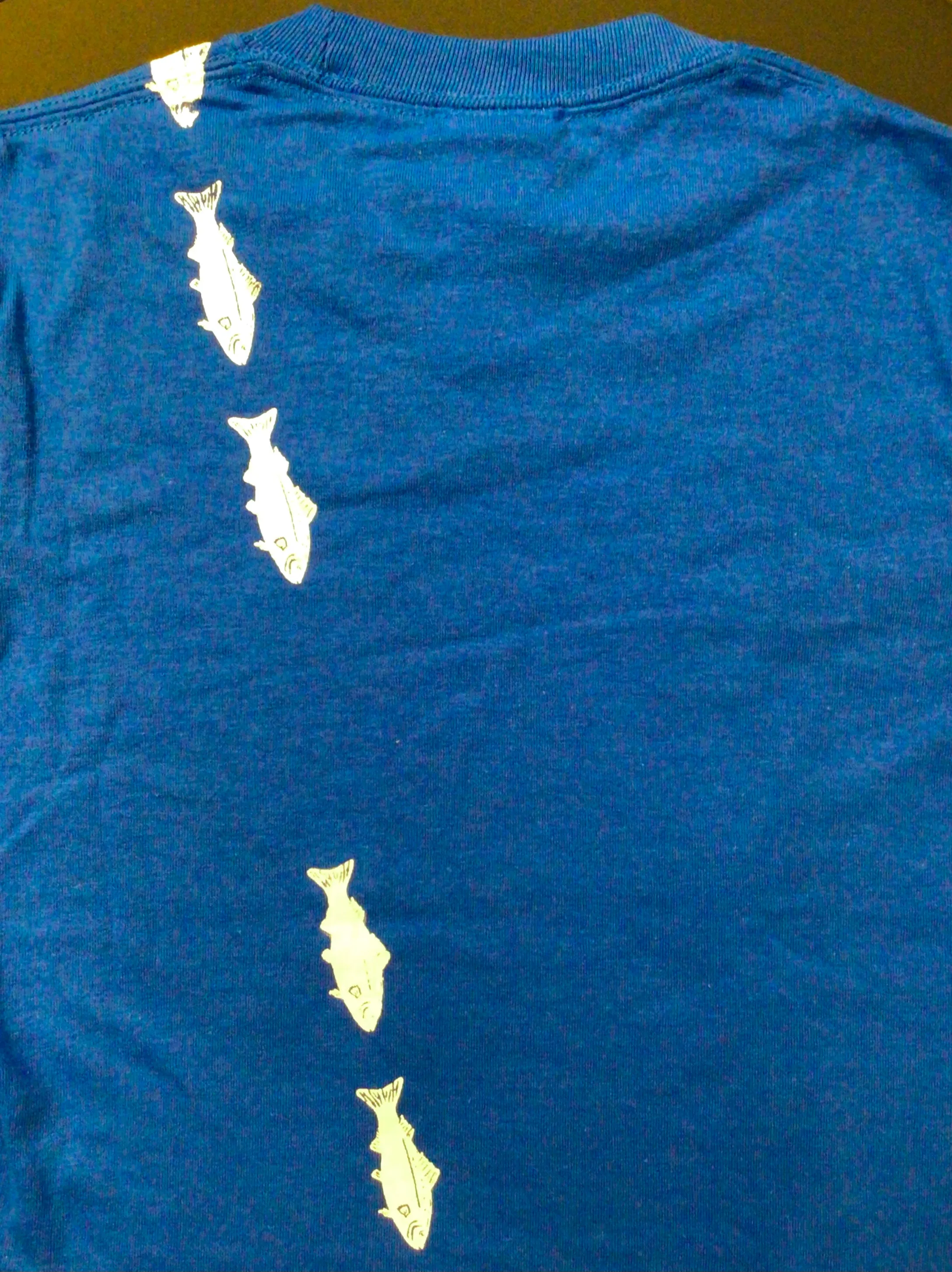Kid's Salmon and Mt. Eyak T - Shirts
