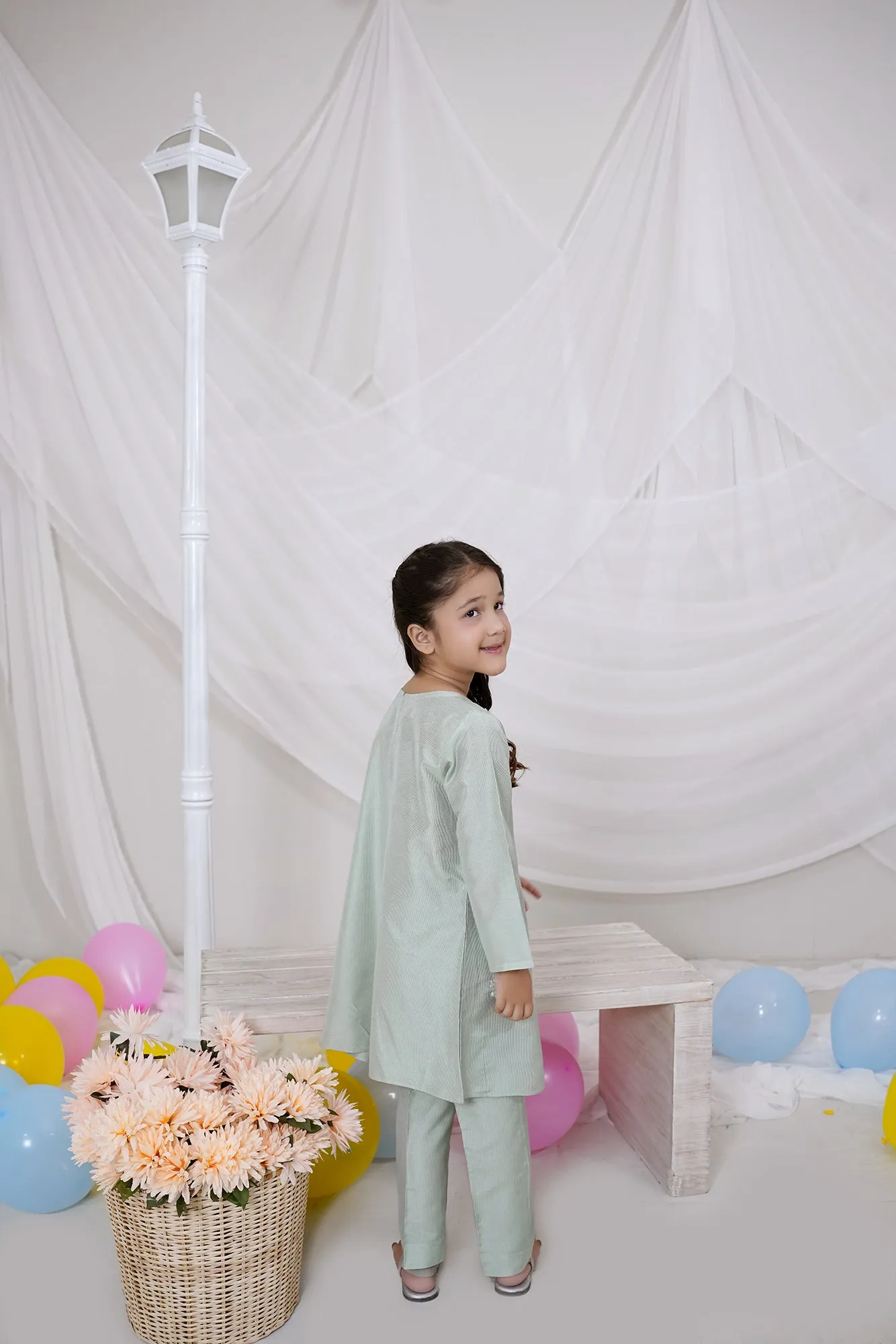 Mint Green Embroidered Chiffon