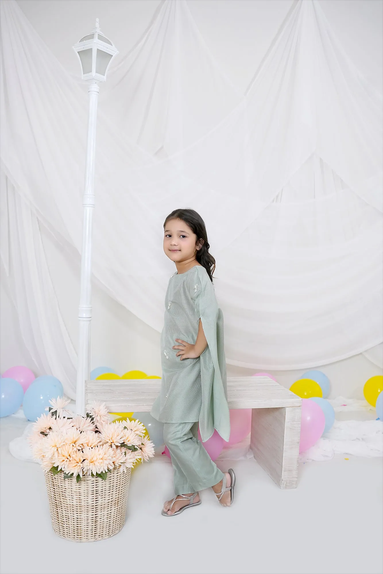 Mint Green Embroidered Chiffon