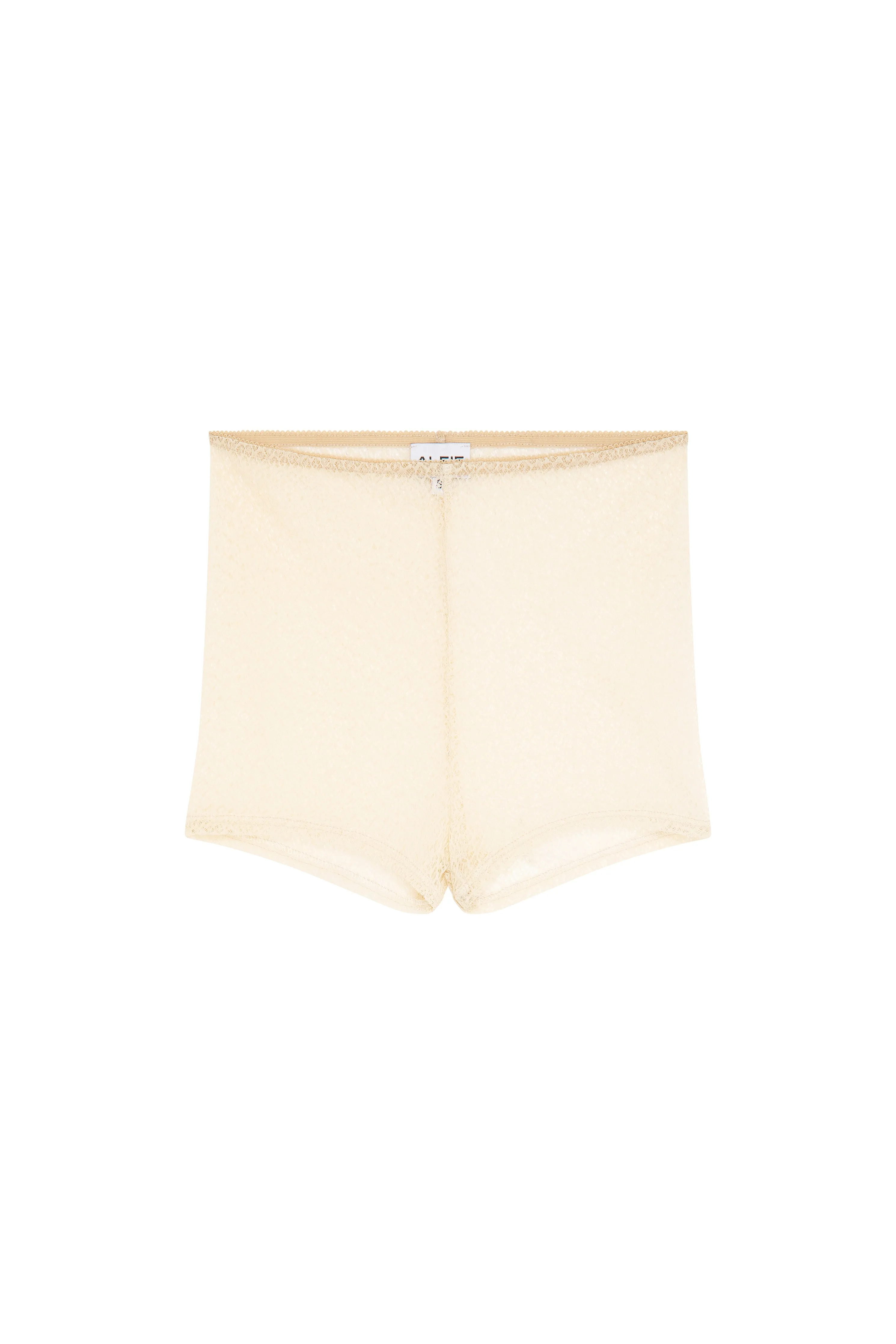 The Brief
